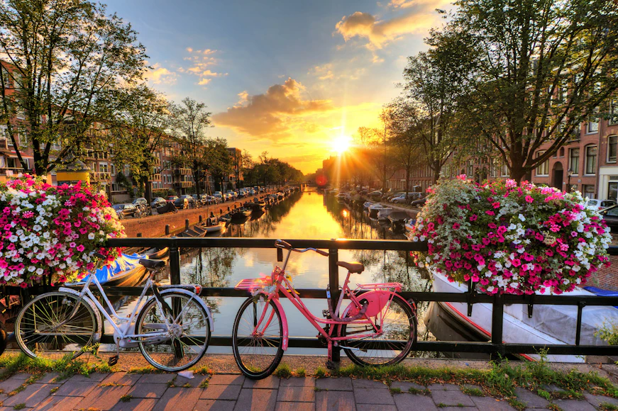 Things to Do in Amsterdam, Book Tours Tickets in Amsterdam